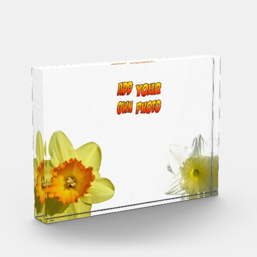 Daffodil Bloemen Cust. Fotoblok (Links)