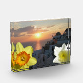 Daffodil Bloemen Fotoblok (Links)