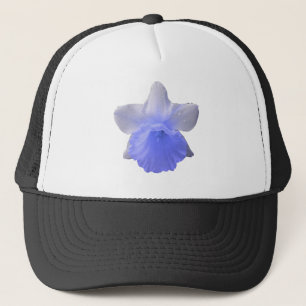 Daffodil Blue Pet