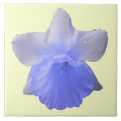 Daffodil Blue Tile Tegeltje (Voorkant)
