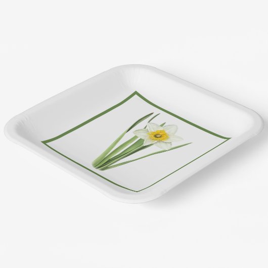 Daffodil Borded Botanische Kunst Papieren Bordje (Gebogen)