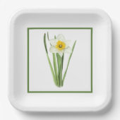 Daffodil Borded Botanische Kunst Papieren Bordje (Voorkant)