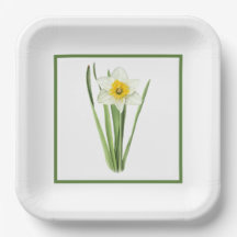 Daffodil Borded Botanische Kunst