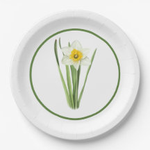 Daffodil Borded Botanische Kunst