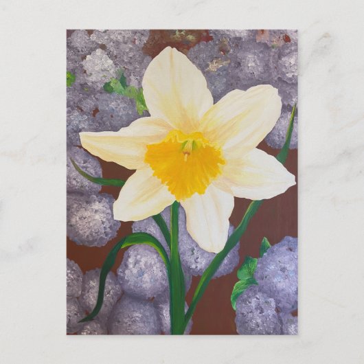 Daffodil Briefkaart (Voorkant)