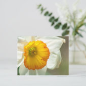 Daffodil Briefkaart (Staand voorkant)