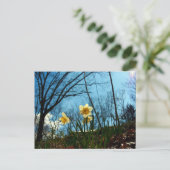 Daffodil Briefkaart (Staand voorkant)