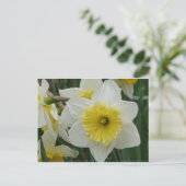 daffodil briefkaart (Staand voorkant)