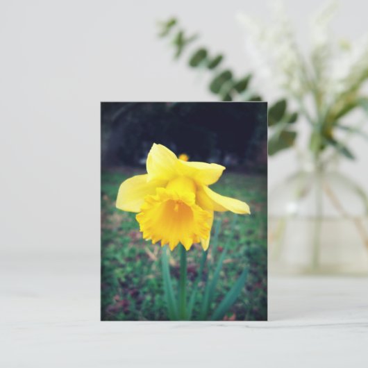 Daffodil Briefkaart (Staand voorkant)