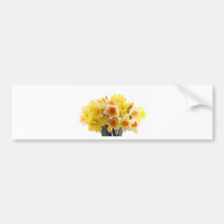 daffodil bumpersticker
