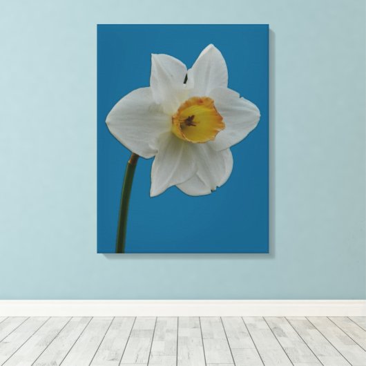 Daffodil Canvas Print (Insitu (Houten vloer))