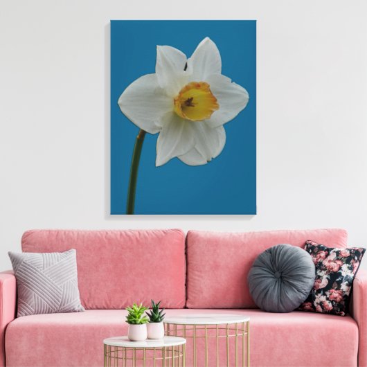 Daffodil Canvas Print (Insitu (Woonkamer))