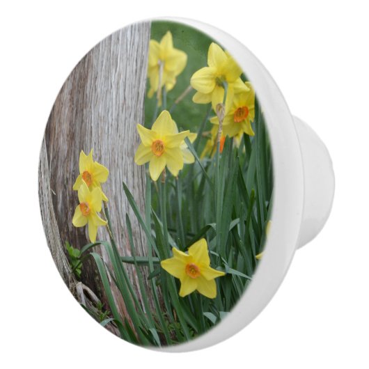 Daffodil Ceramic Knob. Keramische Knop (Rechts)