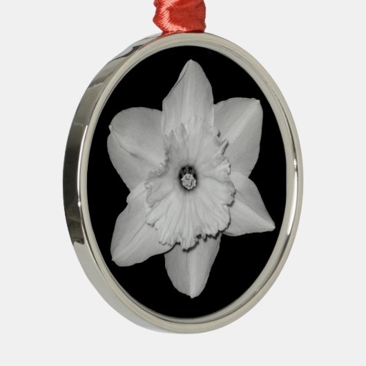 Daffodil Close-up (B&W) Ornament (Rechts)