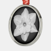 Daffodil Close-up (B&W) Ornament (Links)