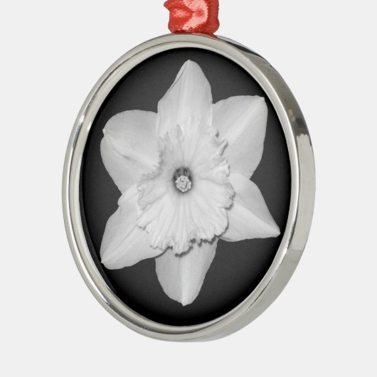 Daffodil Close-up (B&W) Ornament (Links)