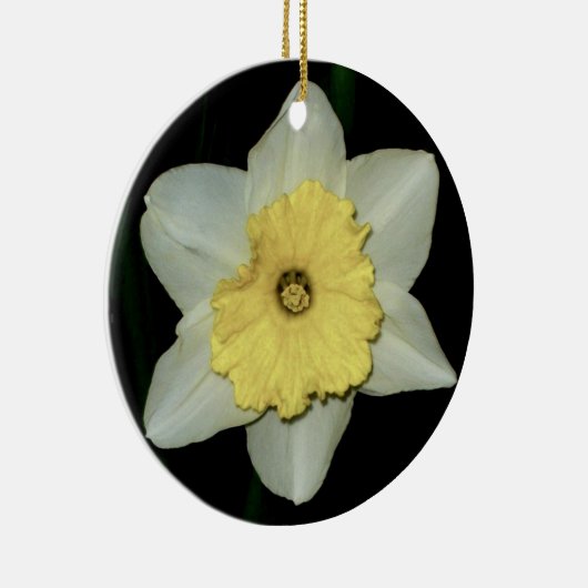 Daffodil Close-up Round Ornament (Rechts)