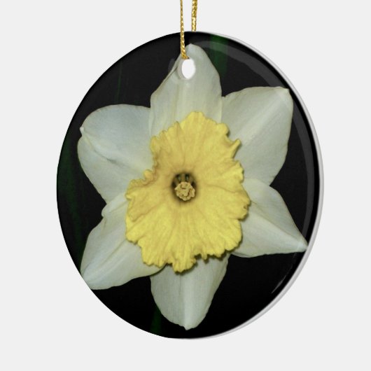 Daffodil Close-up Round Ornament (Links)