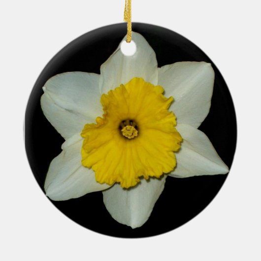 Daffodil Close-up Round Ornament (Achterkant)