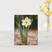 Daffodil "Dank je!" Kaart (licht) (Gele Bloem)