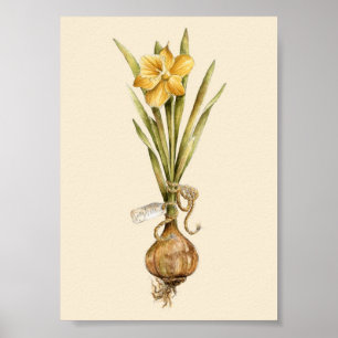 Daffodil Daydroom - Poster