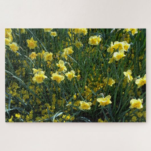 Daffodil delight jigzaag puzzel (Horizontaal)