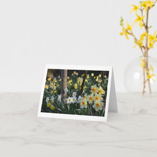 Daffodil Dell: Cheshire, Engeland Kaart (Gele Bloem)