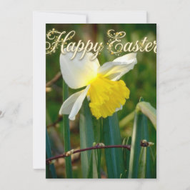 Daffodil & Easter wishes