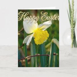 Daffodil & Easter wishes Kaart