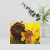 Daffodil- en Apple-Briefkaart Briefkaart (Staand voorkant)