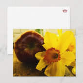 Daffodil- en Apple-Briefkaart Briefkaart (Voorkant / Achterkant)