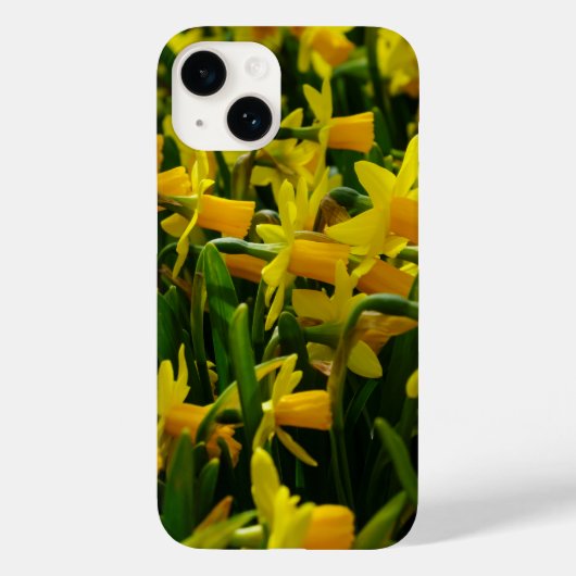 Daffodil Family iPhone Case (Achterkant)