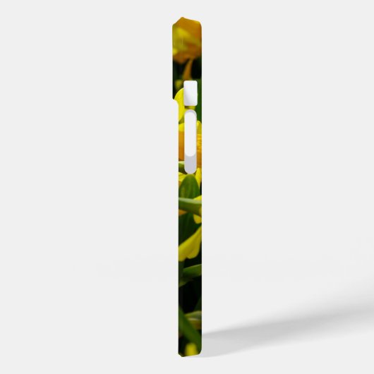 Daffodil Family iPhone Case (Achterkant / Links)