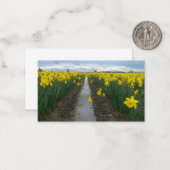 Daffodil Field Notitiekaartje (Voorkant / Achterkant in situ)