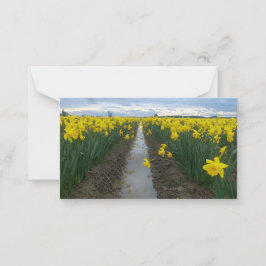 Daffodil Field Notitiekaartje