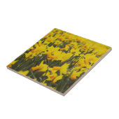 Daffodil Field Tegeltje (Zijkant)