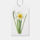 Daffodil Floral Design Botanische Kunst Cadeaulabel (Voorkant)