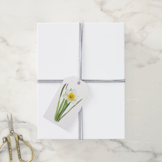 Daffodil Floral Design Botanische Kunst Cadeaulabel (Met Touw)