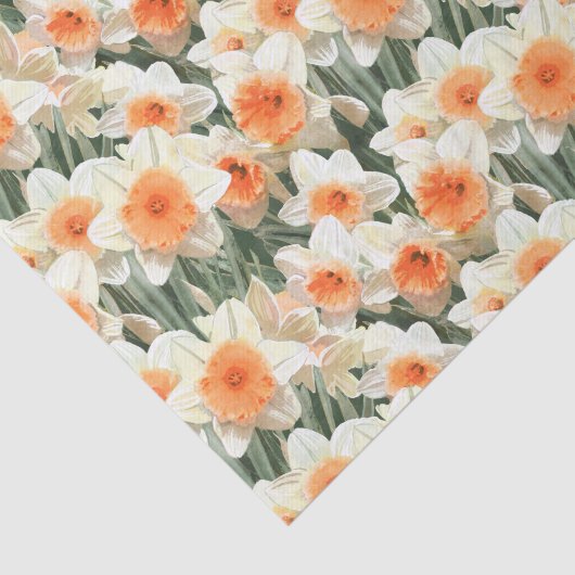 Daffodil Floral White Peach Pattern Tissuepapier (Detail)