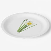 Daffodil Flower Botanical Art Papieren Bordje (Gekanteld)