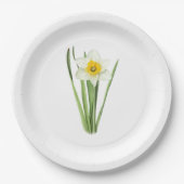 Daffodil Flower Botanical Art Papieren Bordje (Voorkant)