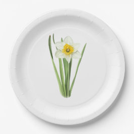 Daffodil Flower Botanical Art Papieren Bordje