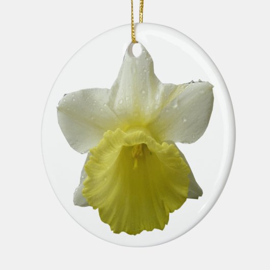 Daffodil Flower Ornament (Links)