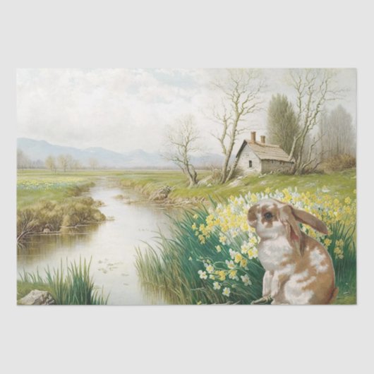 Daffodil Flower Rabbit Stream Spring-ontkoppeling Tissuepapier (Voorkant)