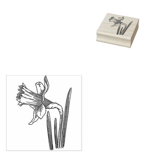 Daffodil Flower  Rubber stamp Rubberstempel (Gestempeld)