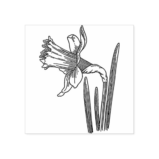 Daffodil Flower Rubber stamp Rubberstempel (Afrduk)
