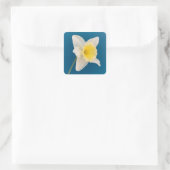 Daffodil, Flower, Spring Vierkante Sticker (Tas)