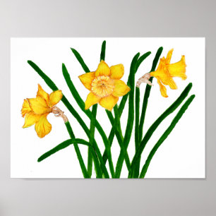 Daffodil Flower Waterverf schilderend Print Artwor