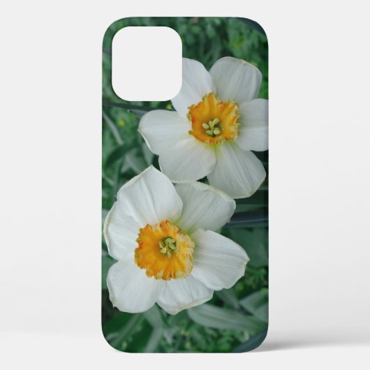 Daffodil Flowers Case-Mate iPhone Case (Achterkant)