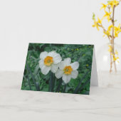 Daffodil Flowers Kaart (Gele Bloem)